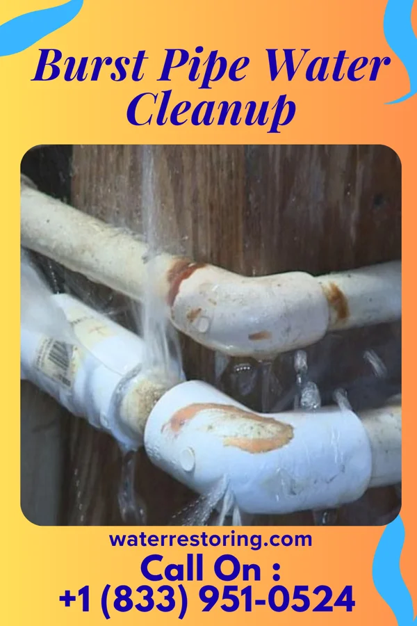 Burst Pipe Water Cleanup in Dyersburg, TN