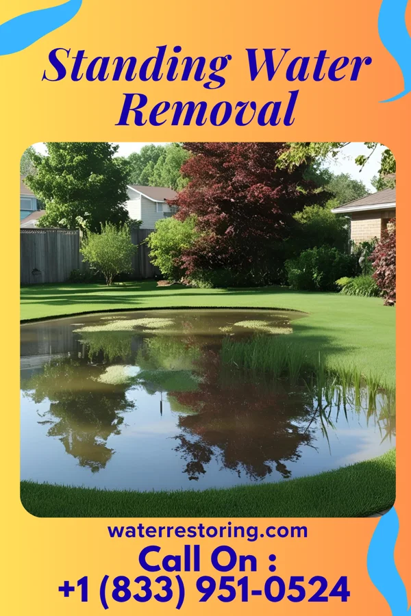 Standing Water Removal in Dyersburg, TN